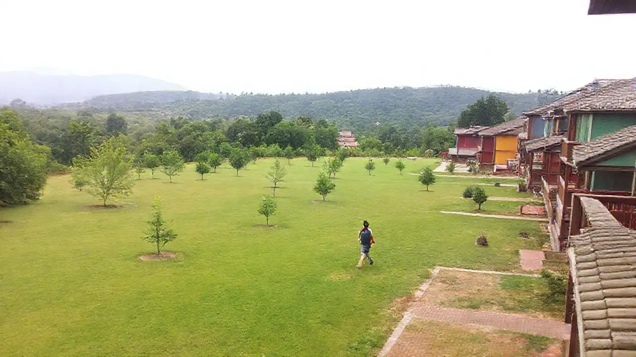 Paisaje tranquilo, natural y ligeramente brumoso
