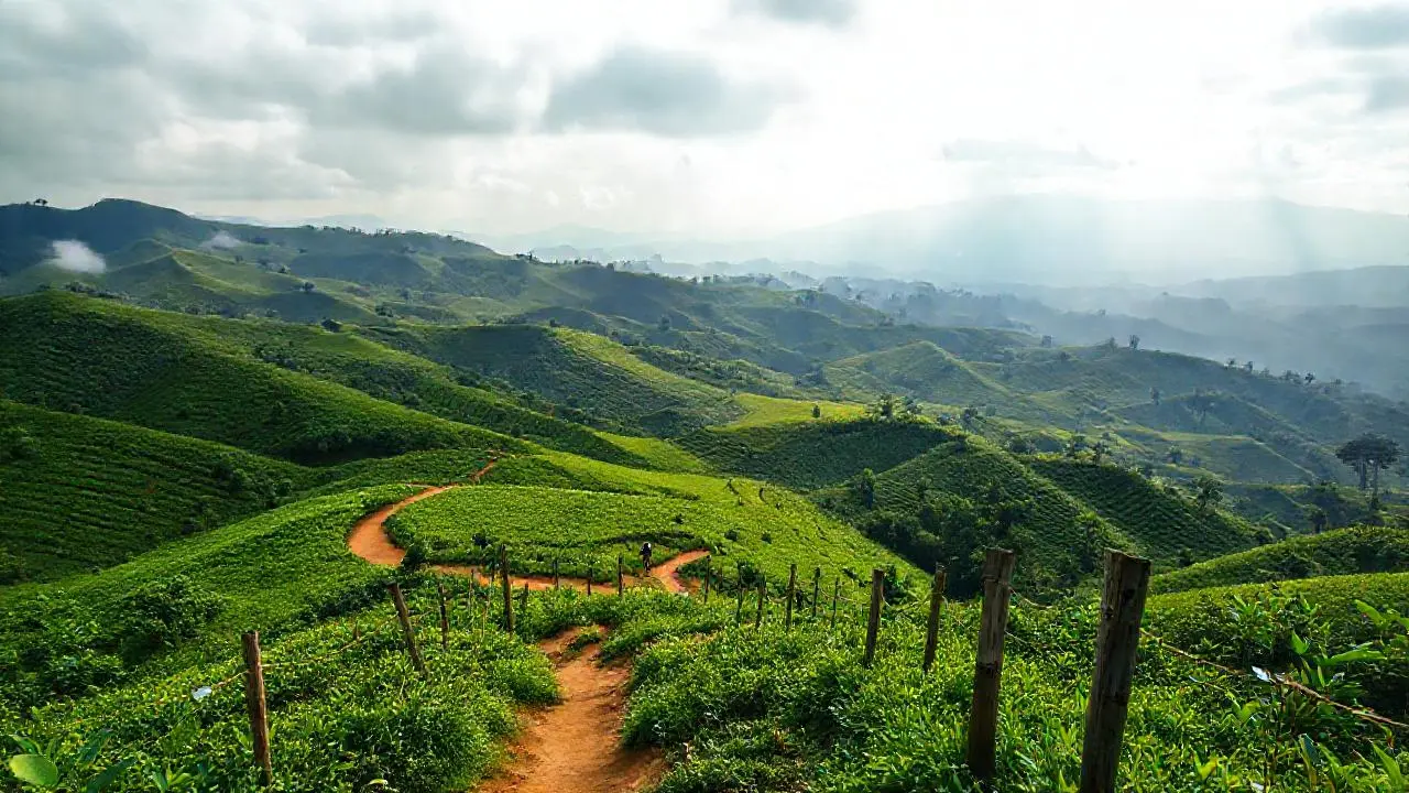 Paisaje colombiano: paz, naturaleza y distancia