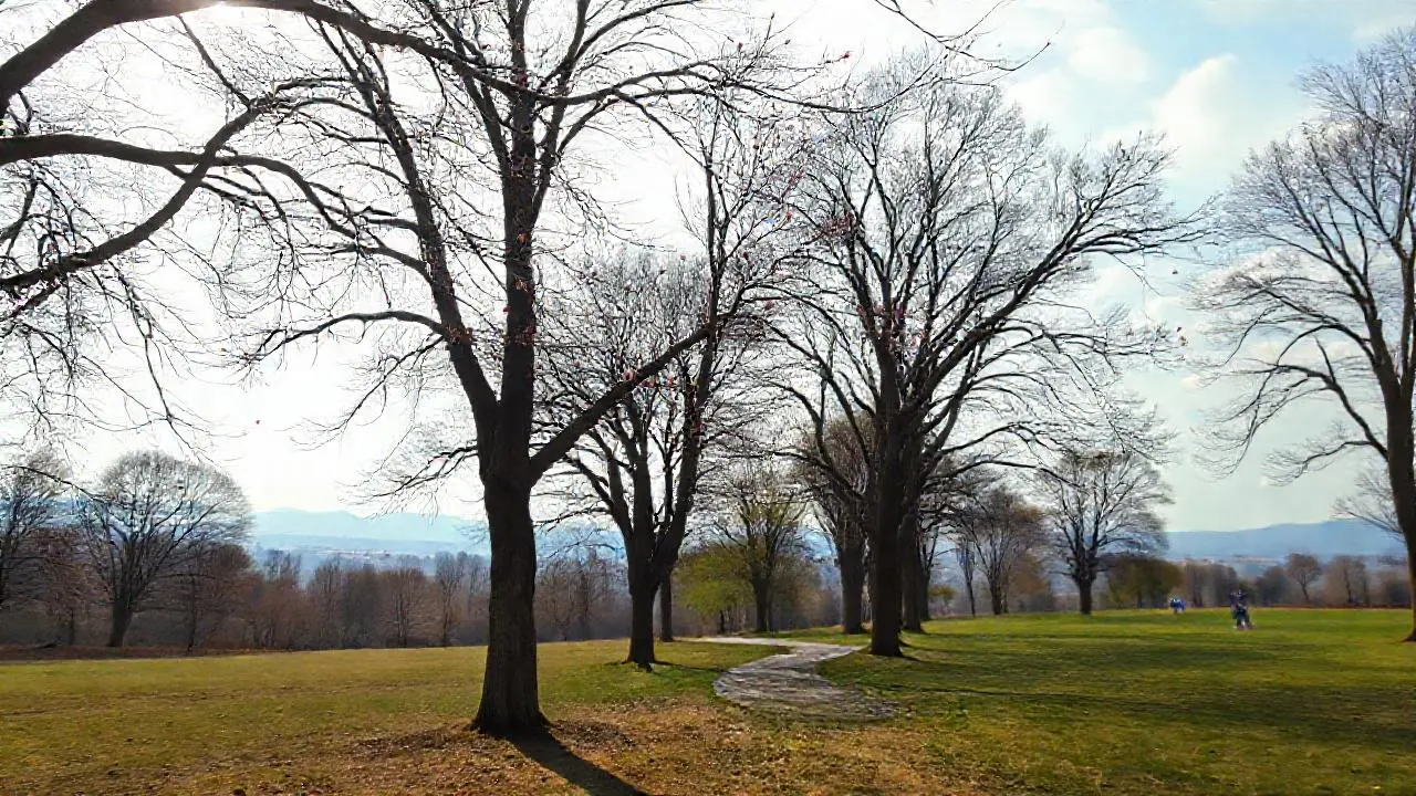 Paz natural, luz suave y sutil
