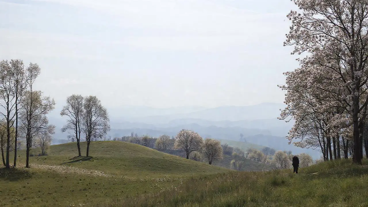 Un paisaje sereno y naturalista invita a la calma