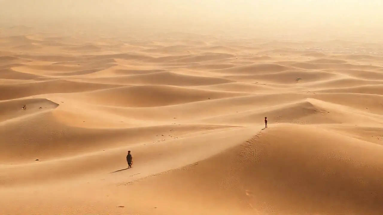 Inmensa quietud desértica bajo luz cálida
