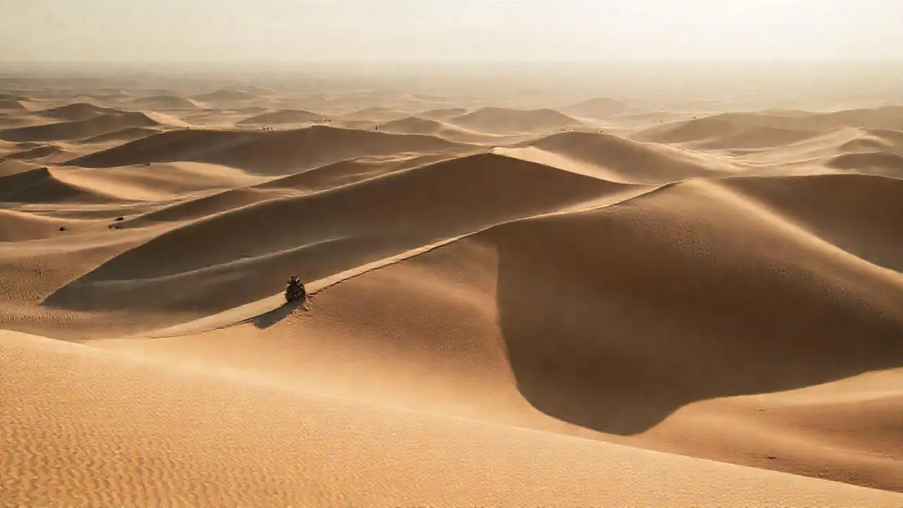 Inmenso desierto, arena y luz suave