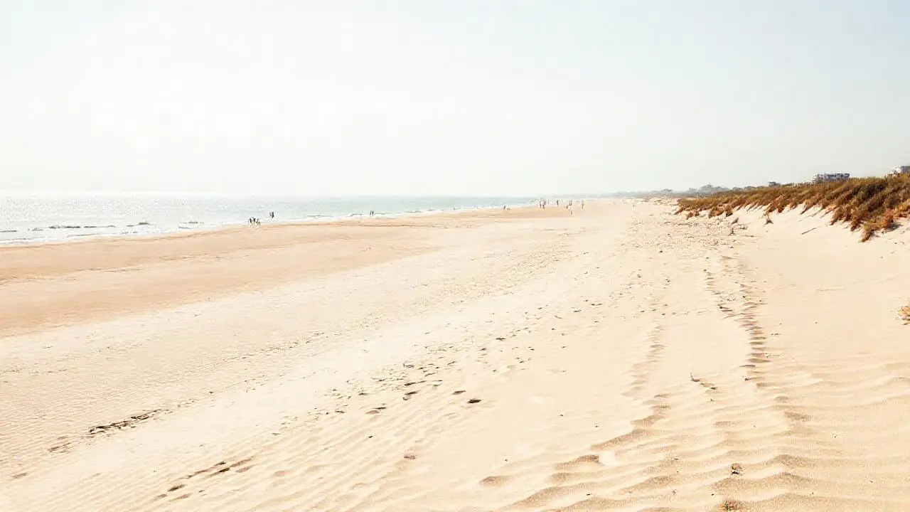 Playa tranquila, arena, cielo claro y agua
