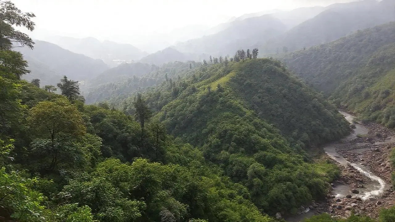 Paisaje natural, brumoso y extenso