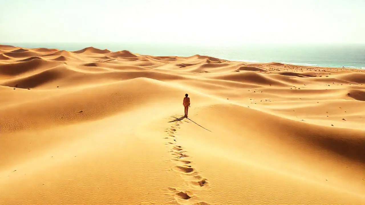 Un desierto sereno, amplio y solitario