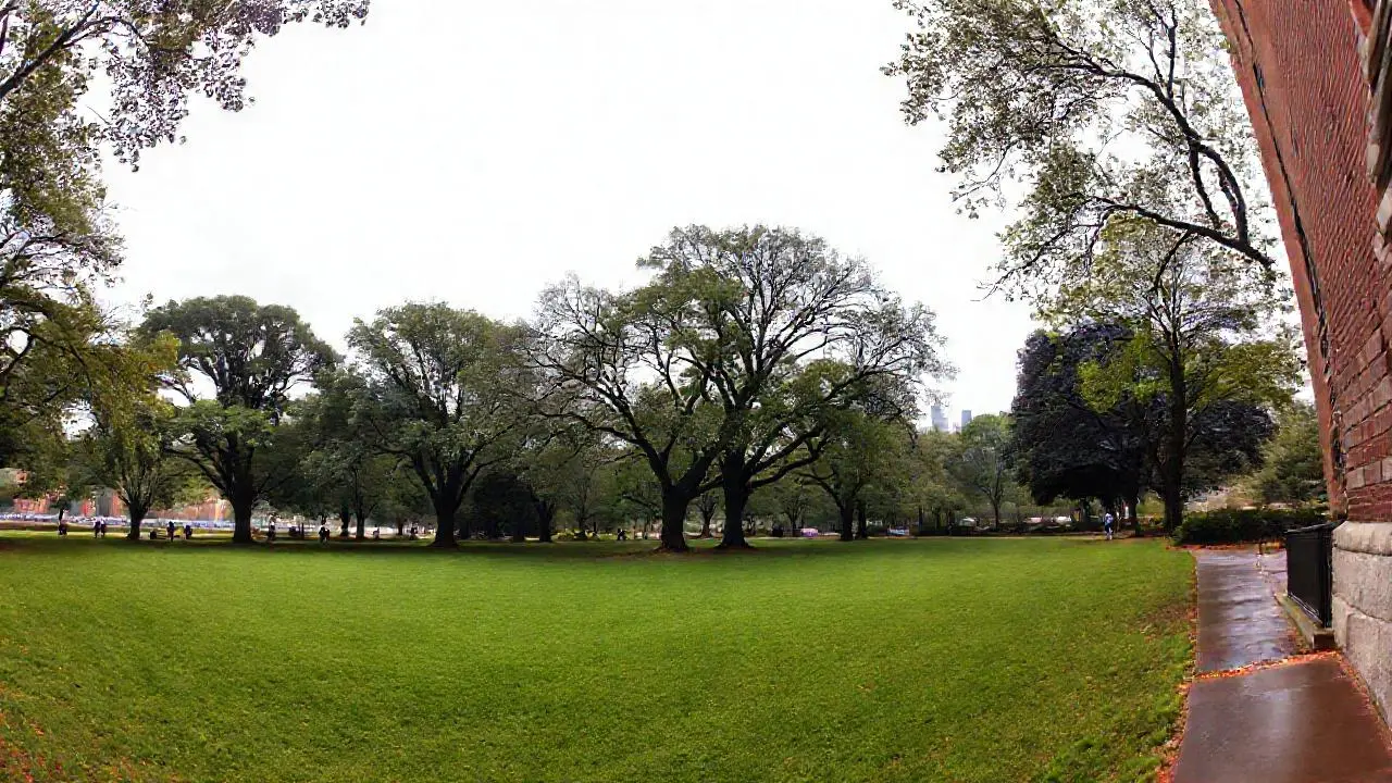 Paisaje tranquilo, realista y ligeramente brumoso
