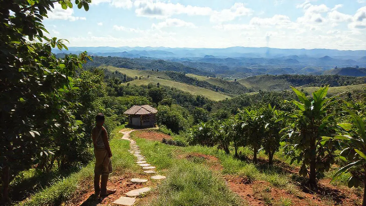 Paisaje tranquilo, fértil y extenso