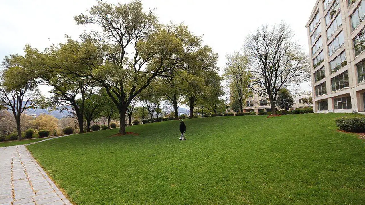 Paisaje sereno y amplio con figura solitaria