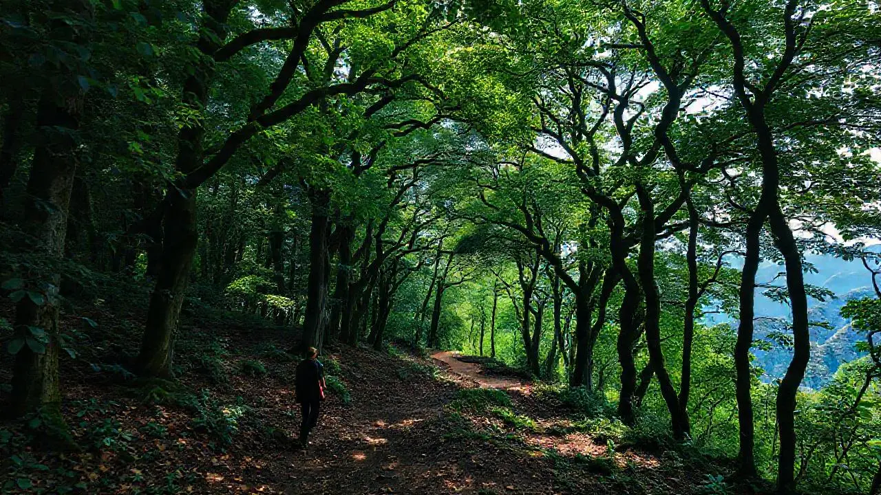 Bosque profundo, figura perdida en la distancia