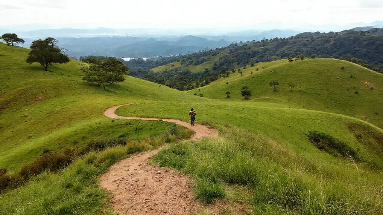 Paisaje sereno, extenso y ligeramente difuminado