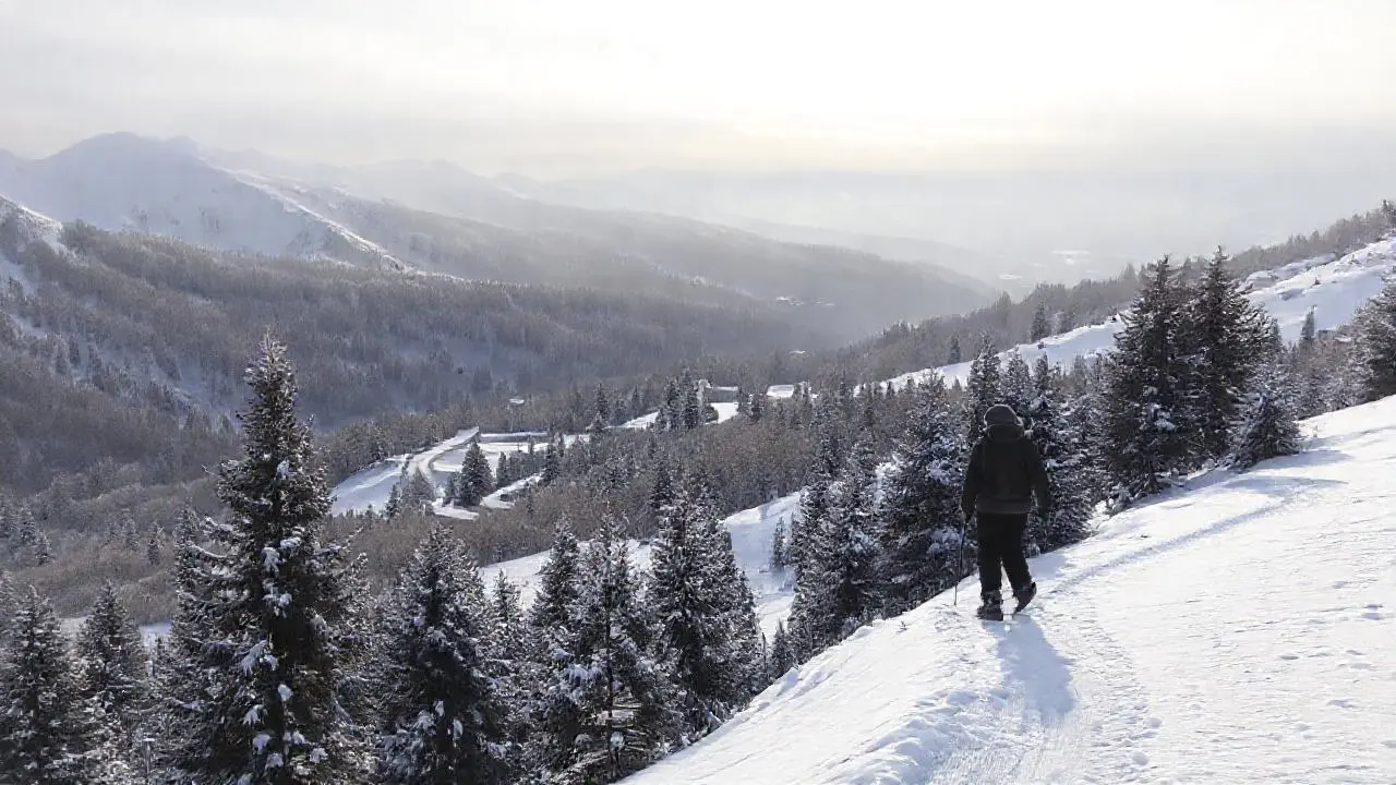 Paisaje invernal sereno y vasto