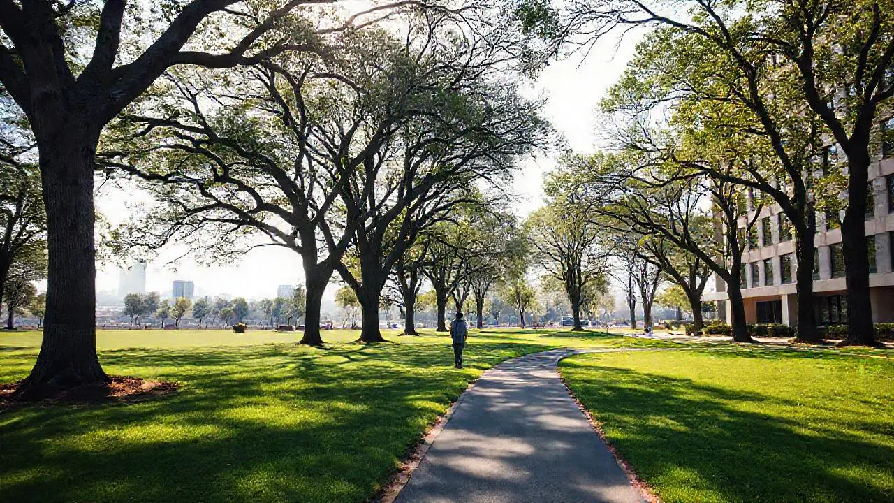 Parque tranquilo, hotel moderno, figura solitaria