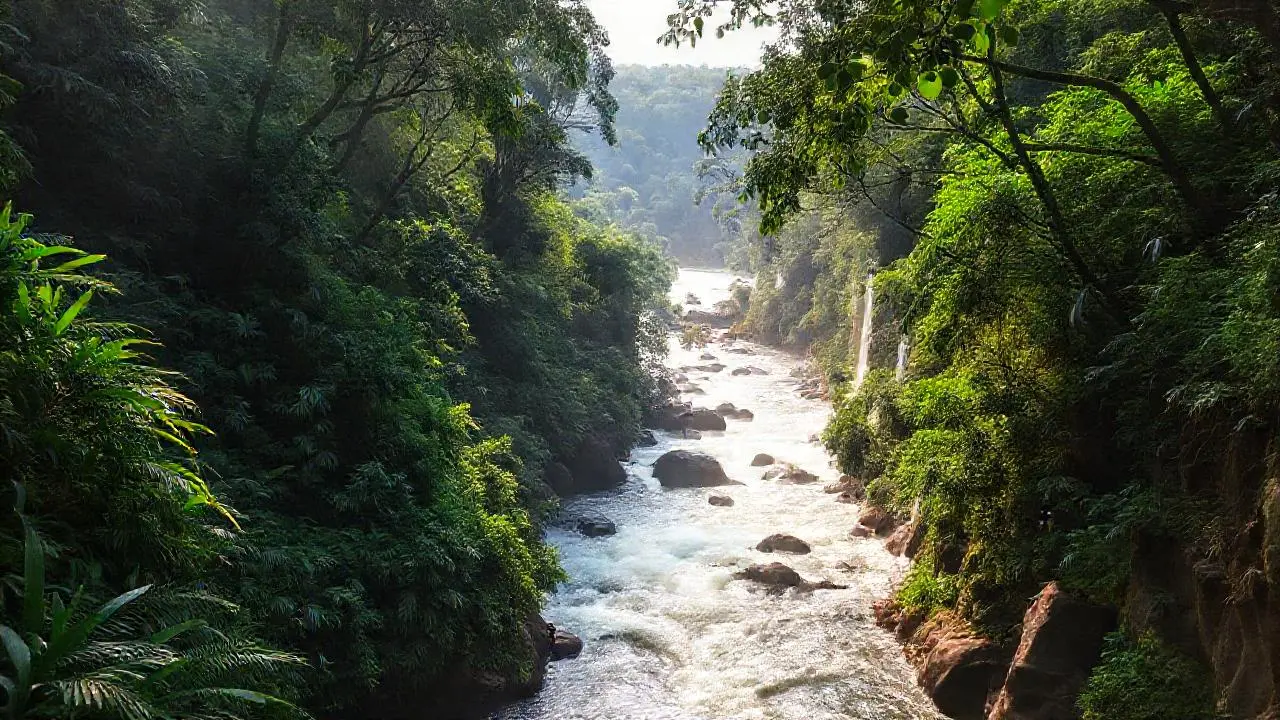 Selva exuberante, humana, y vasta