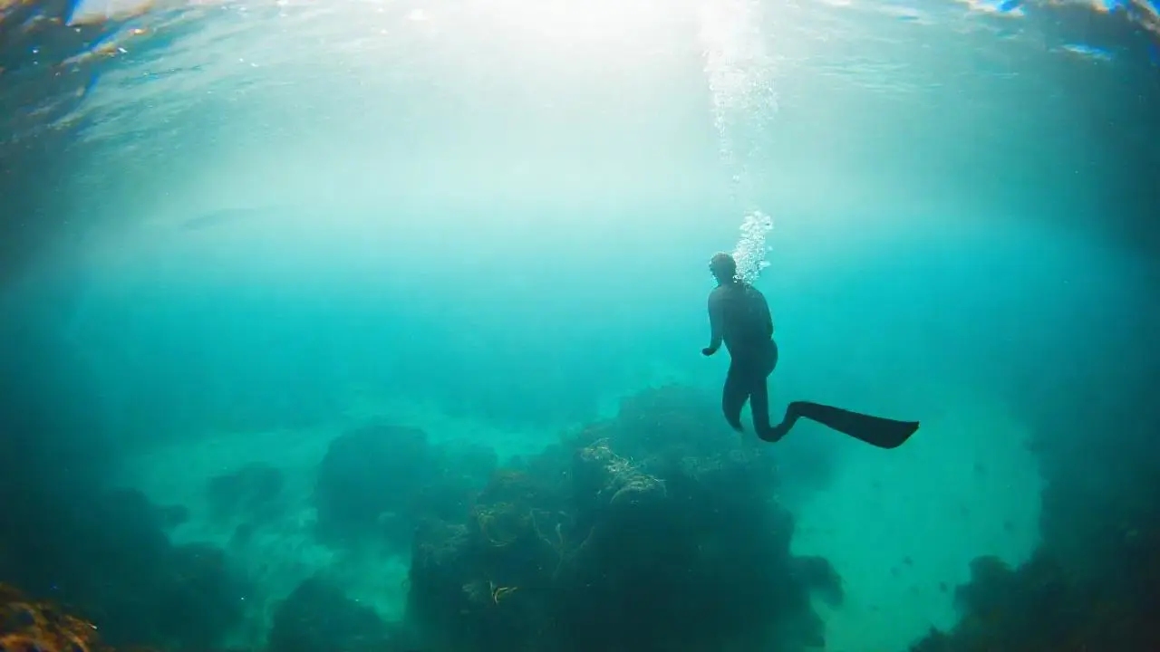Un buceador flota en un mar sereno