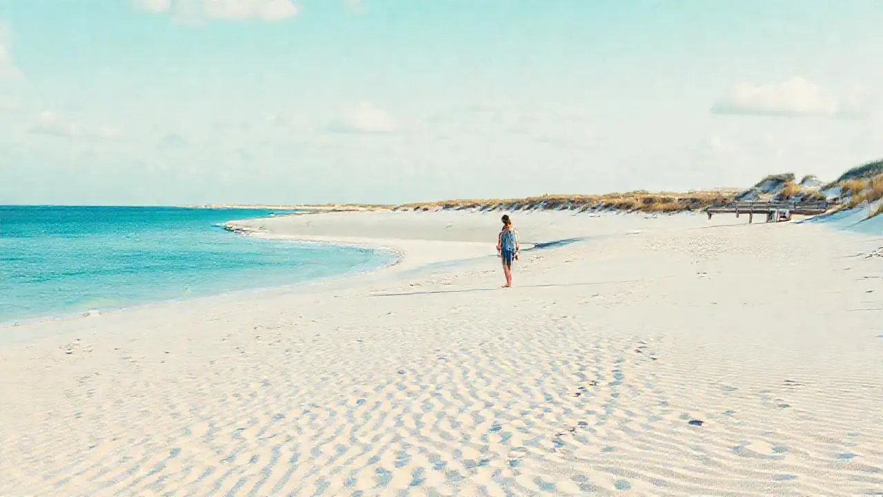 Playa serena, luz suave, espacio abierto