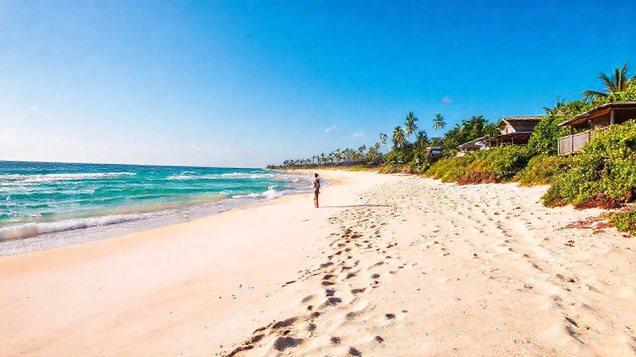 Tranquila playa, luz cálida y natural