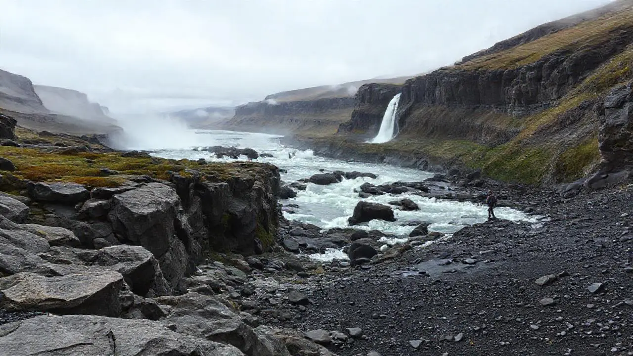 Paisaje agreste, húmedo y profundo