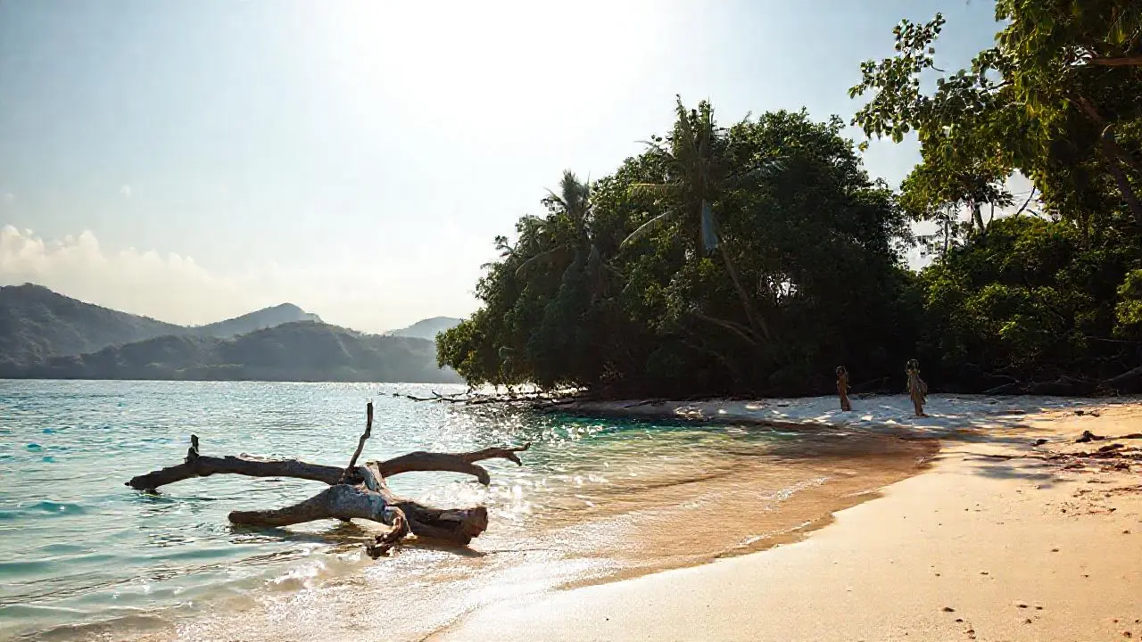 Tranquilidad tropical, luz cálida, y horizonte