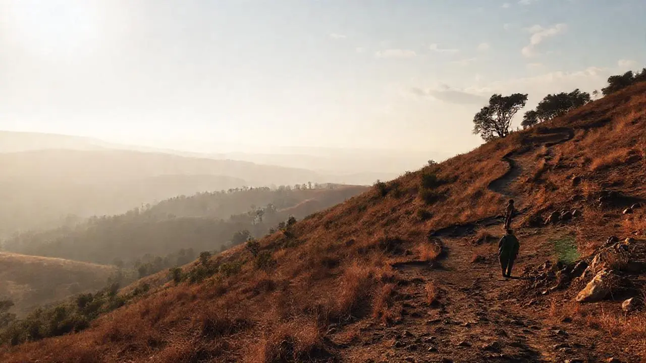 Paisaje sereno, natural y ligeramente difuminado