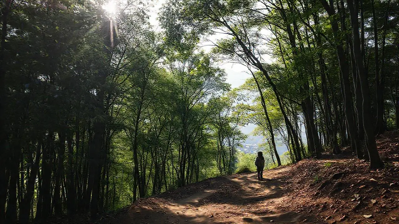 Paisaje natural sereno con una figura solitaria
