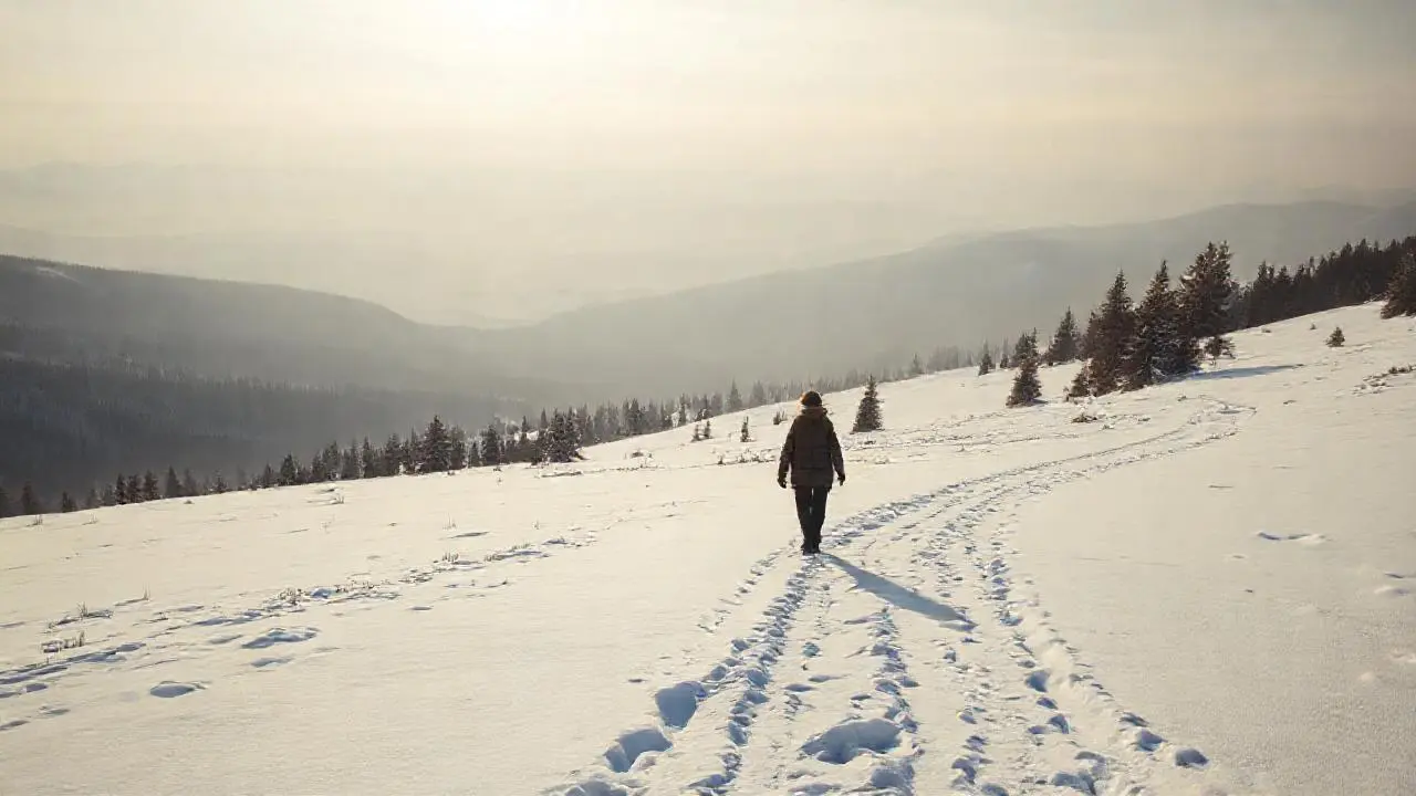 Paisaje invernal vasto, sereno y natural