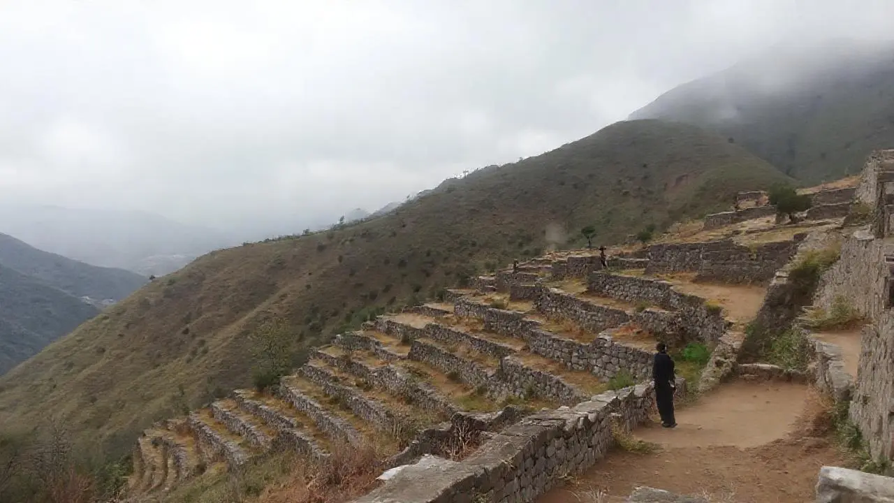 Paisaje tranquilo, distante y ligeramente brumoso