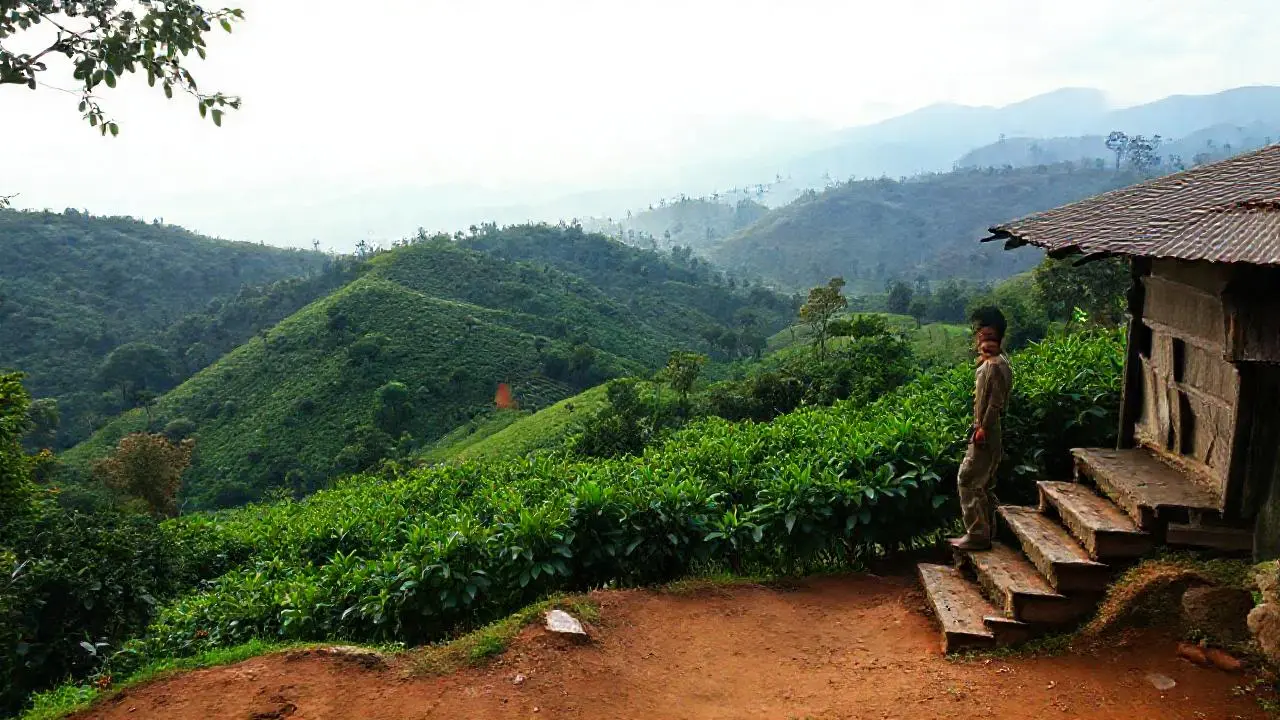 Paisaje rural tranquilo y evocador