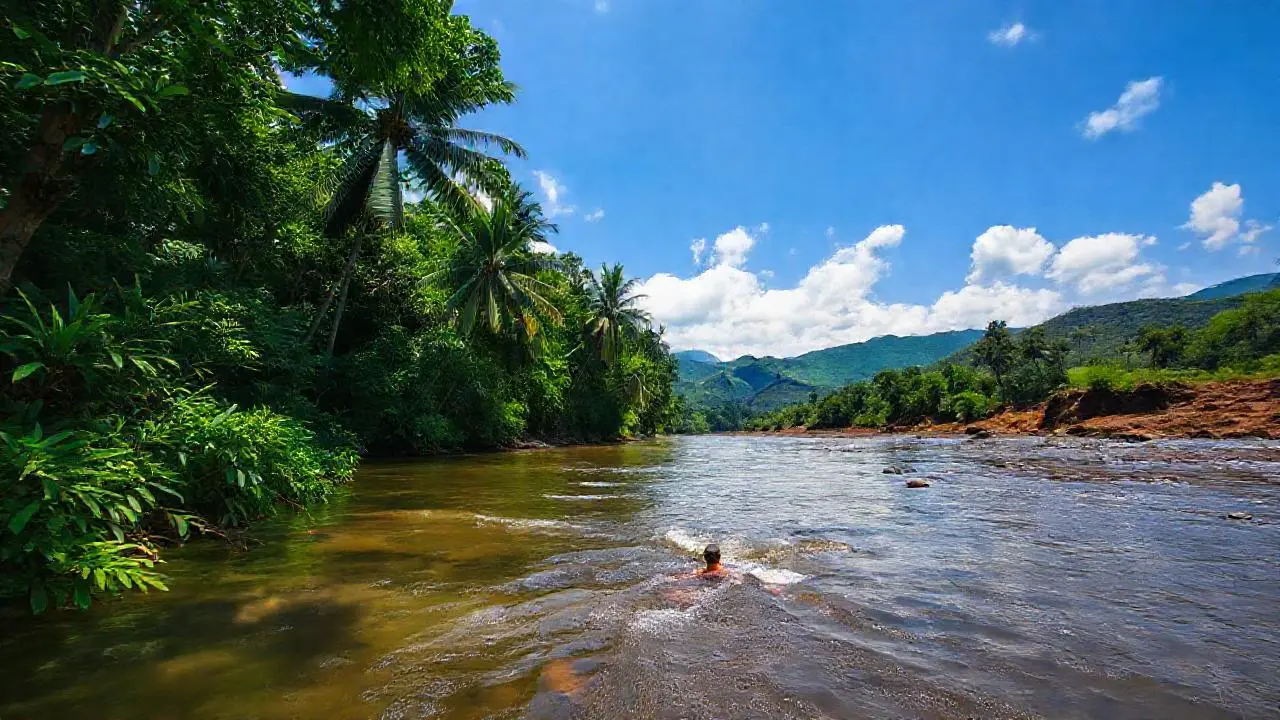Un paisaje natural, sereno y húmedo