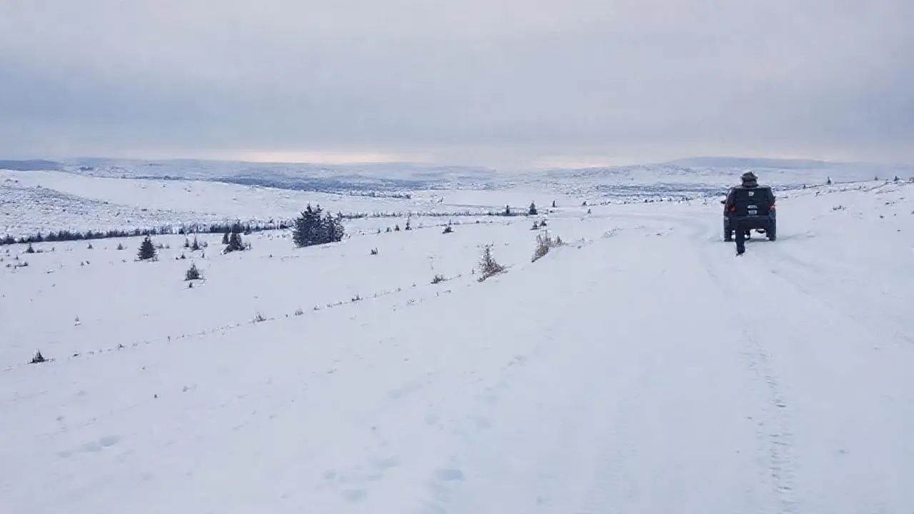 Paisaje invernal tranquilo y distante