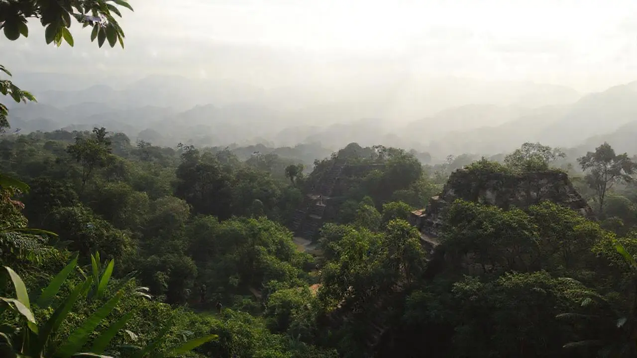 Selva antigua, misteriosa y silenciosa