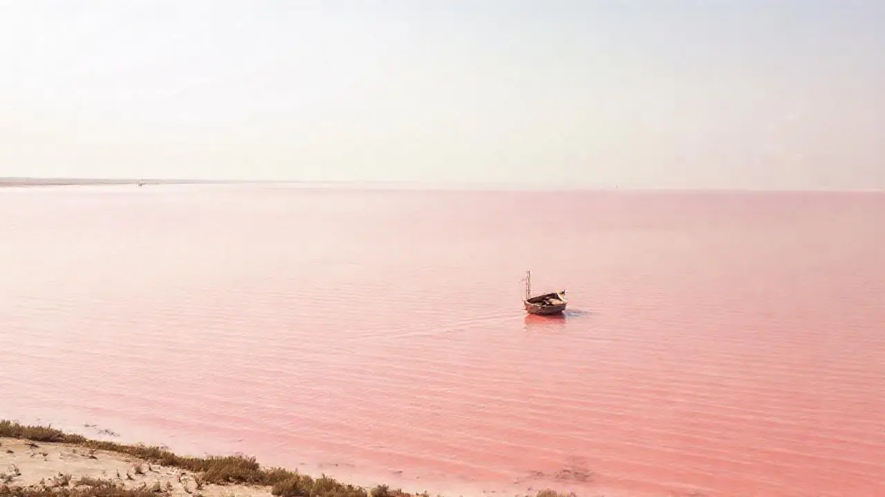 Un paisaje sereno, rosa y vasto