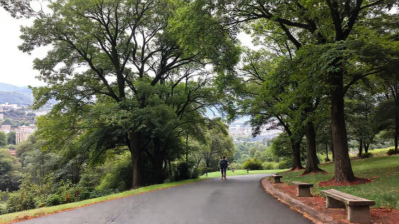 Un parque urbano tranquilo, luz difusa