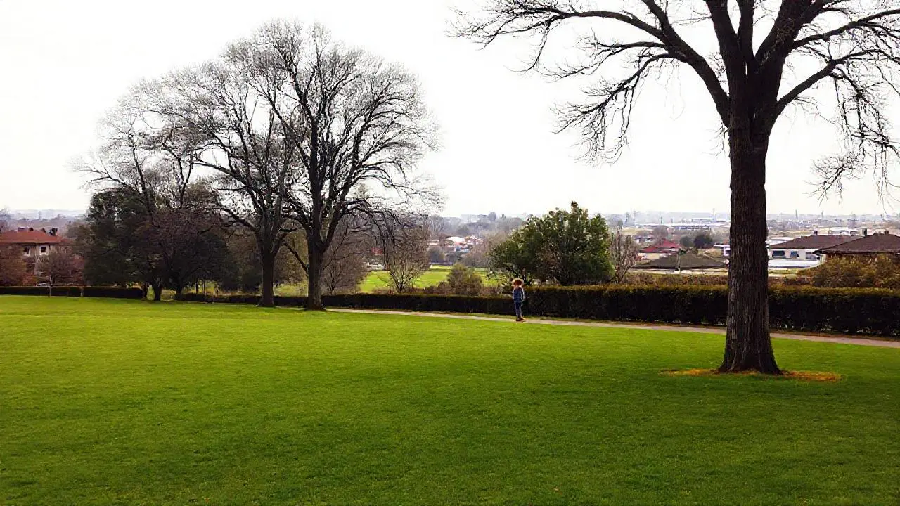 Paz natural, luz suave y espacio abierto