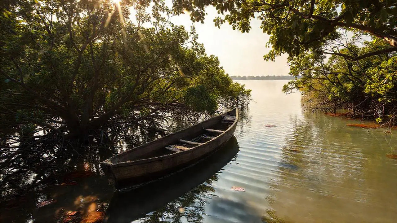 Paz natural en un paisaje acuático