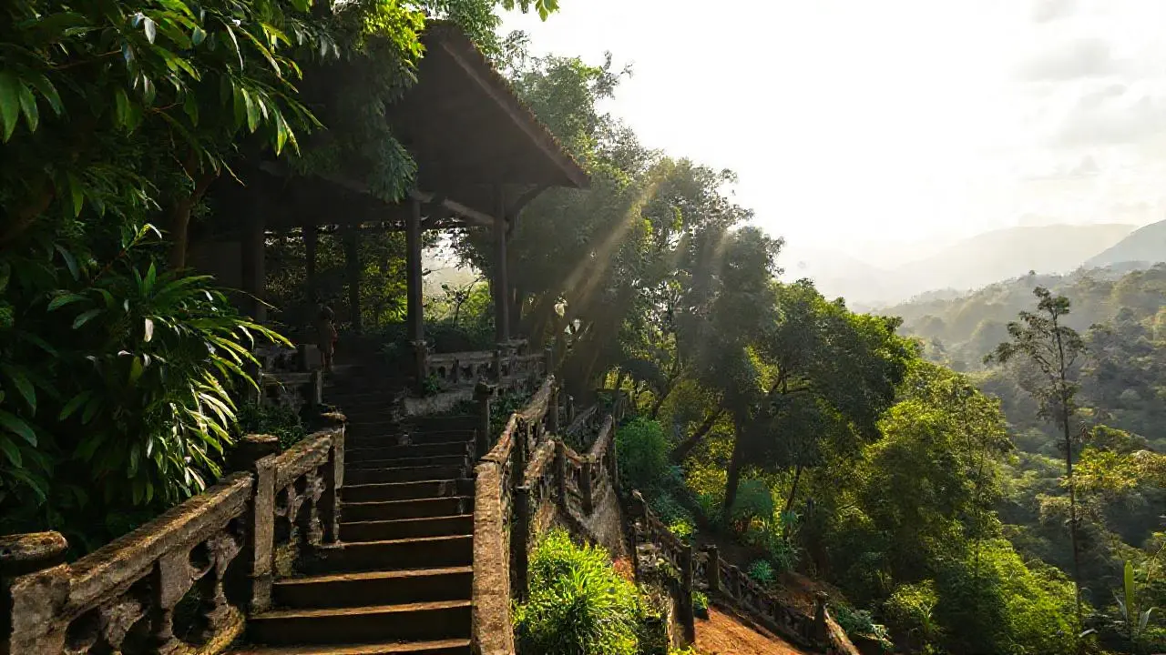 Selva exuberante, atmósfera tranquila y remota