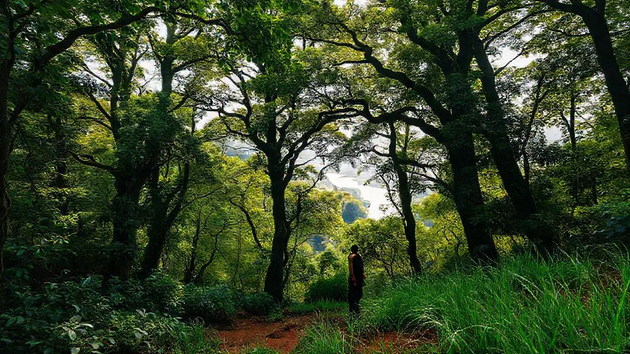 Selva exuberante, calma y misteriosa