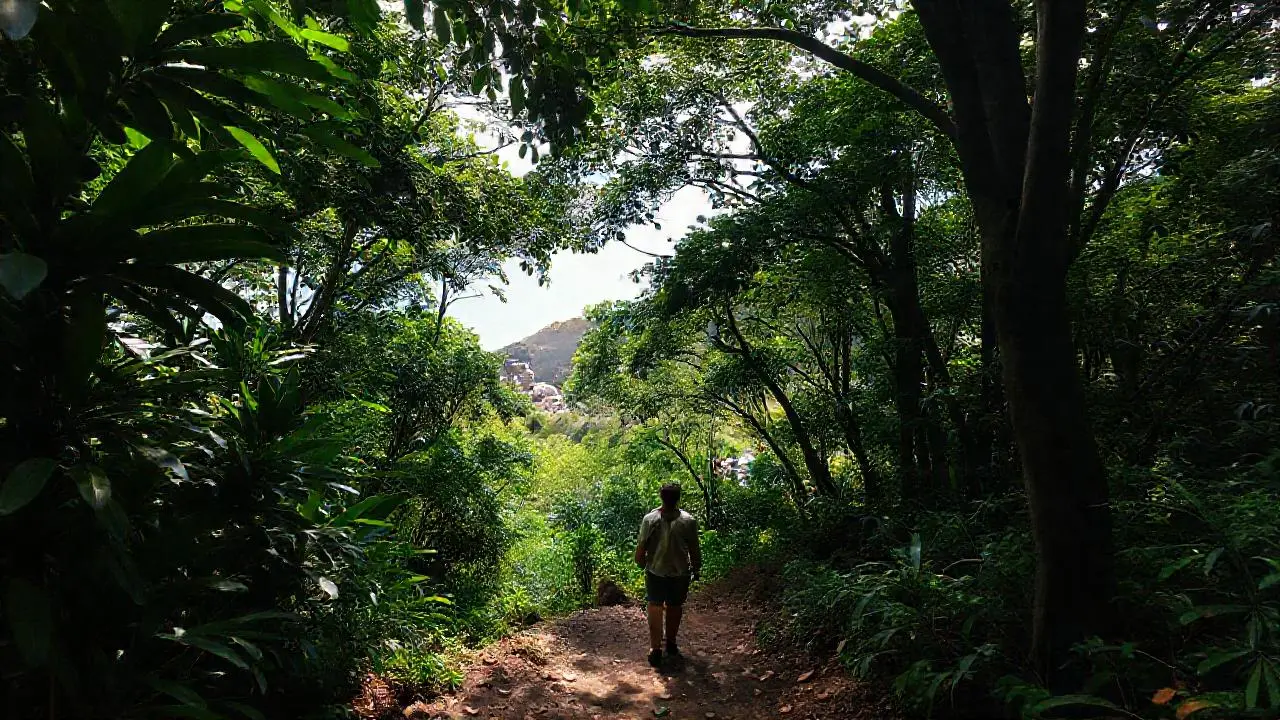Paisaje tropical sereno y natural