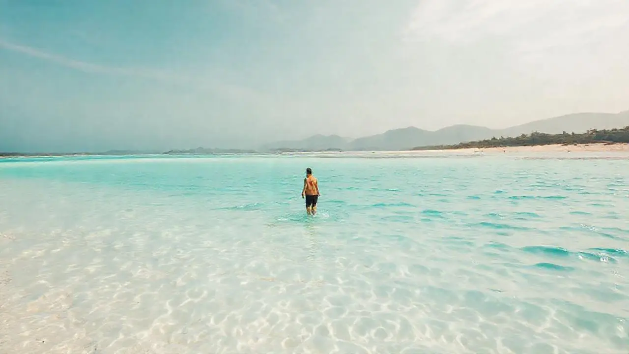 Paz tropical: mar, arena, y sosiego