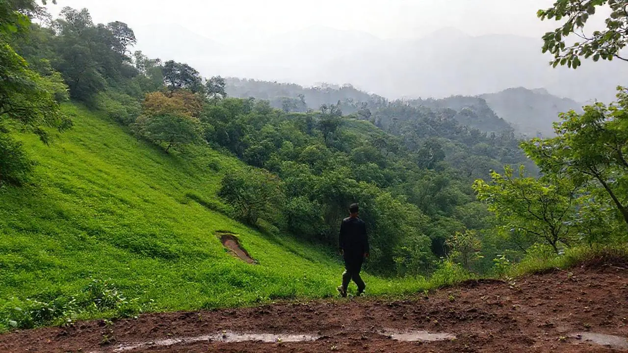 Paisaje brumoso, tranquilo y natural