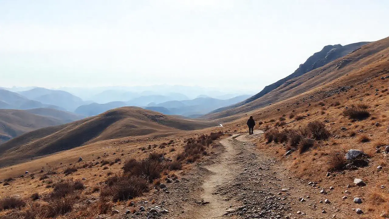 Paisaje vasto, solitario y atmosférico