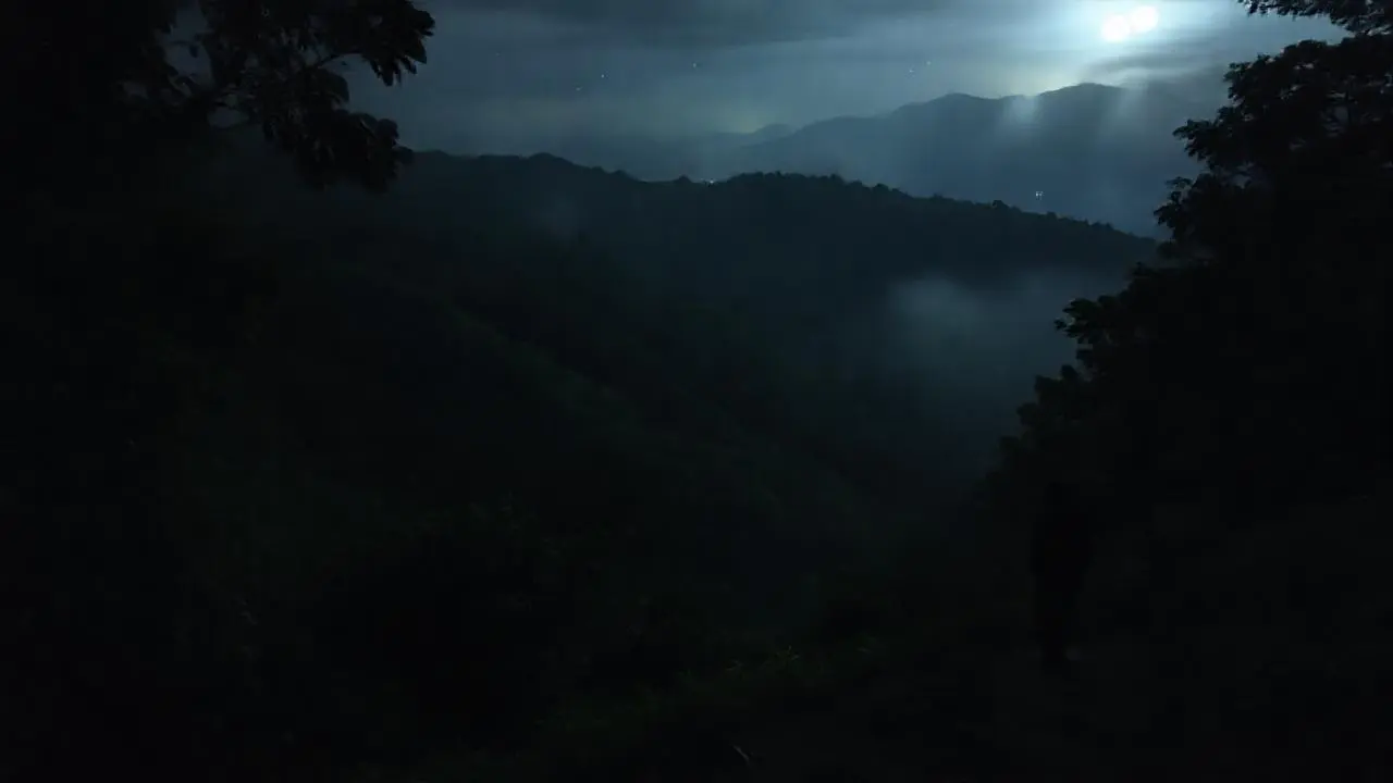 Bosque sereno y misterioso al anochecer