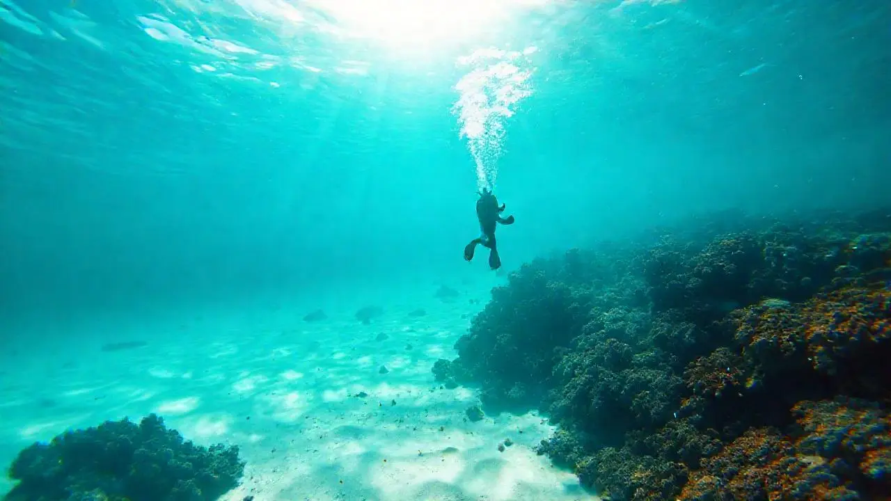 Un paisaje submarino sereno y vasto