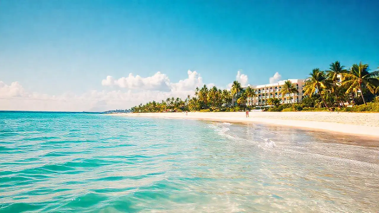 Playa tropical, luz cálida y serena
