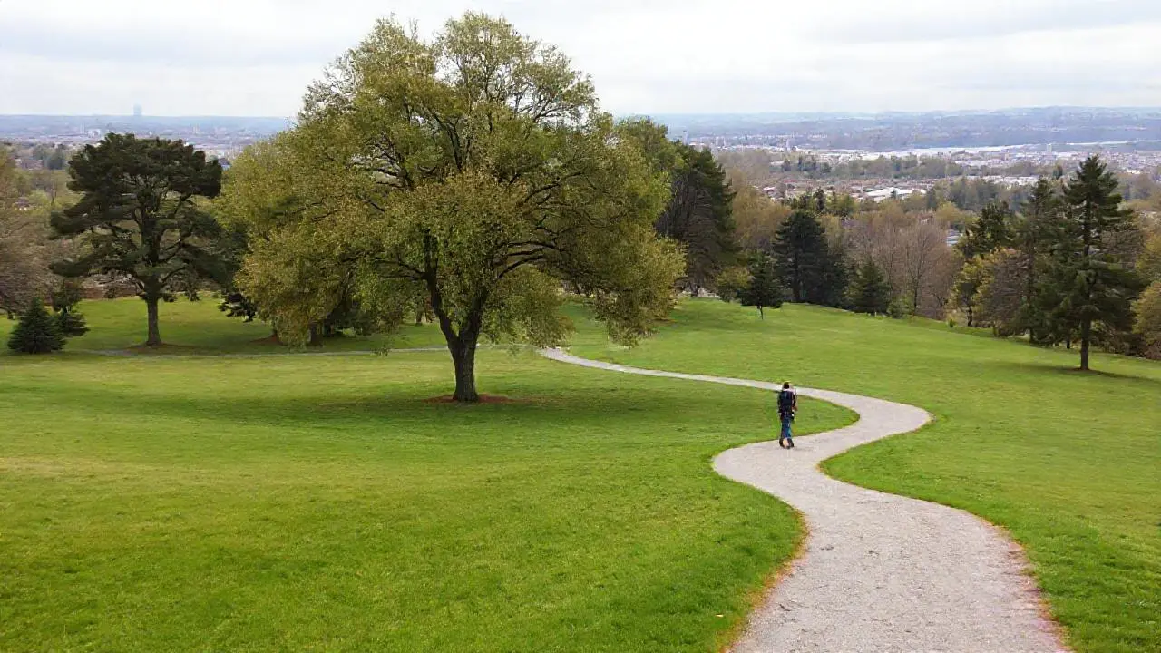 Parque urbano tranquilo, luz suave y natural