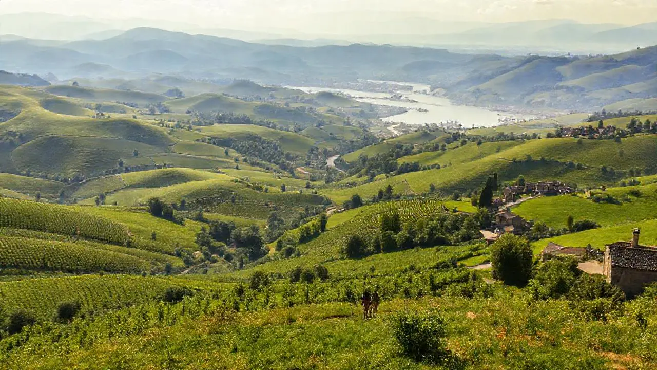 Paisaje rural sereno y extenso