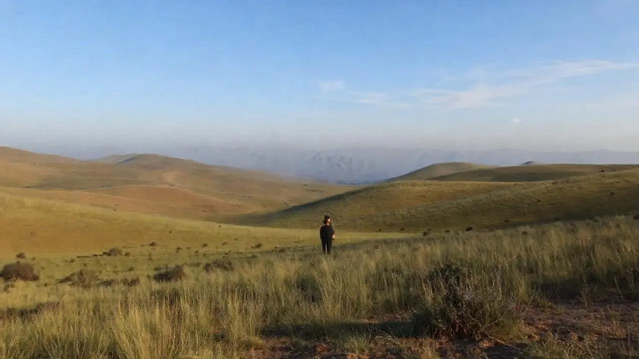 Paisaje abierto, tranquilo y algo difuso