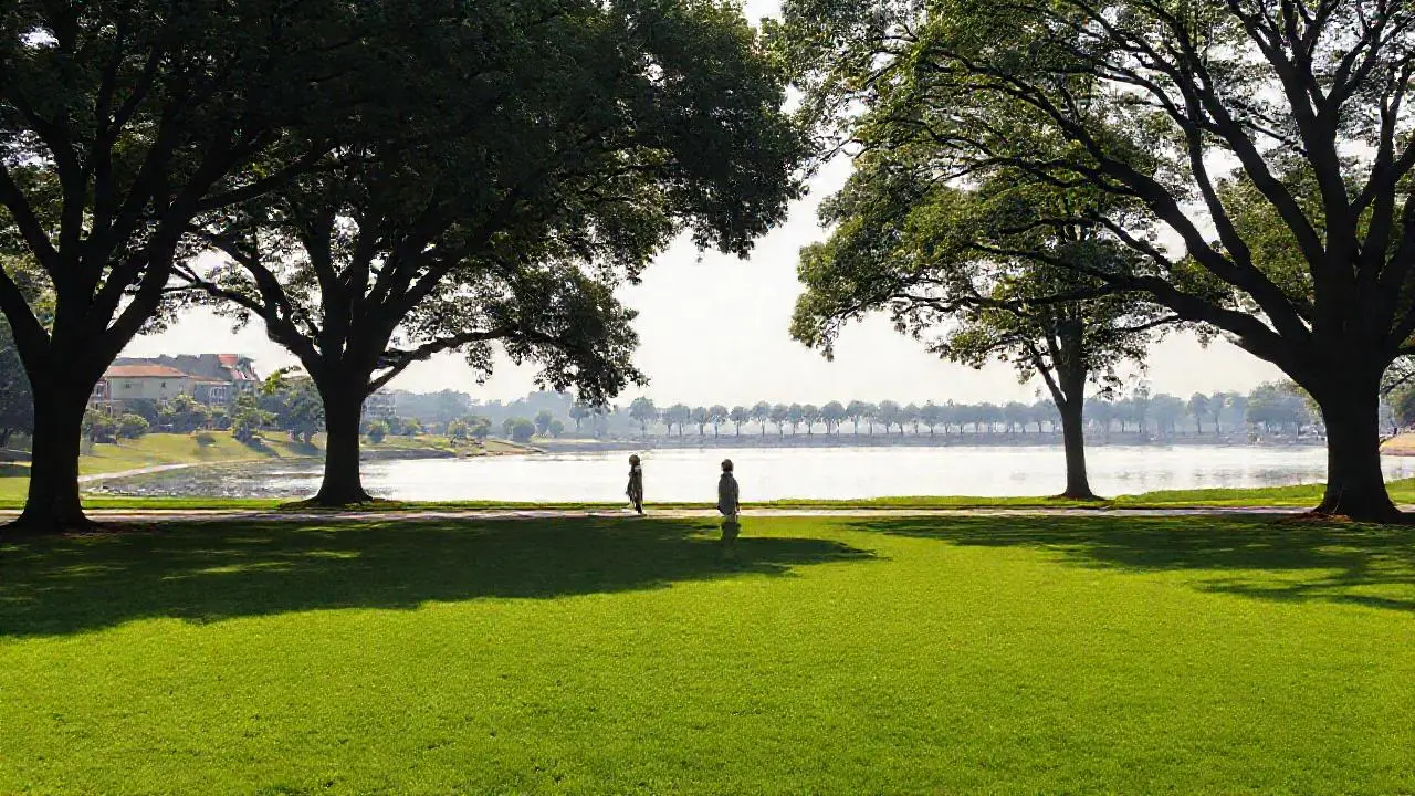 Paz natural, luz suave y espacio abierto