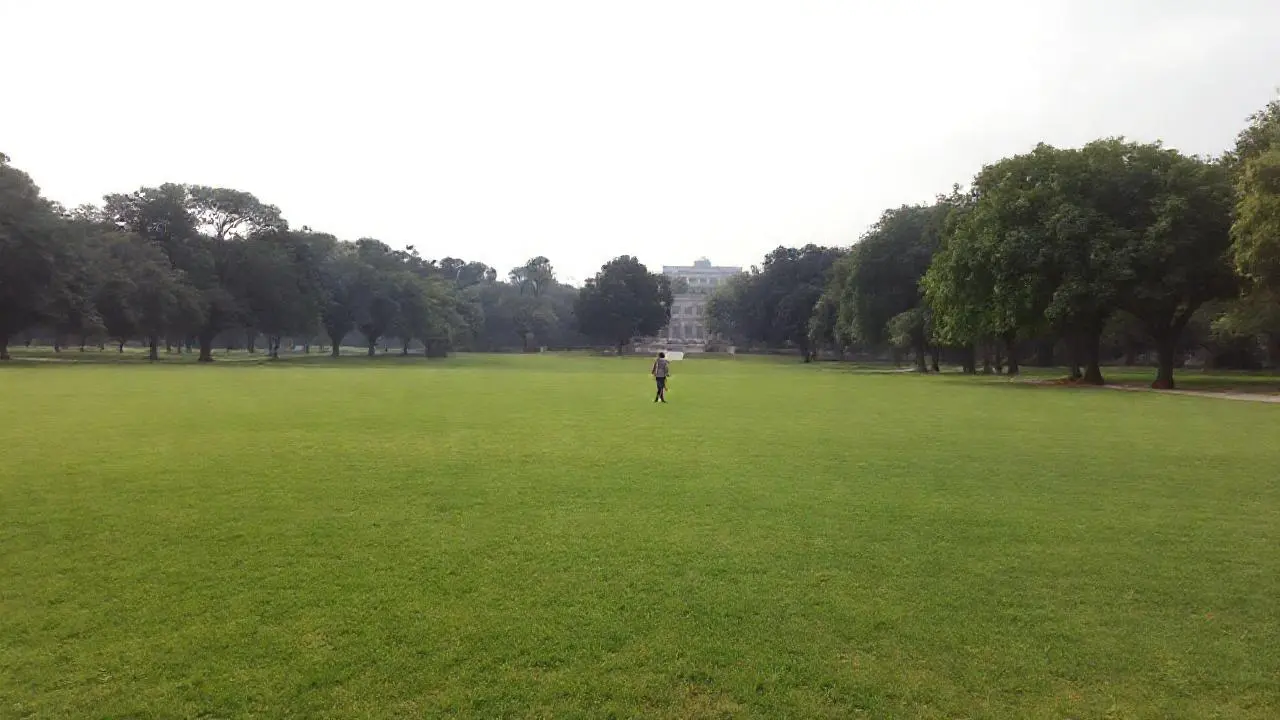 Paseo tranquilo en un parque extenso
