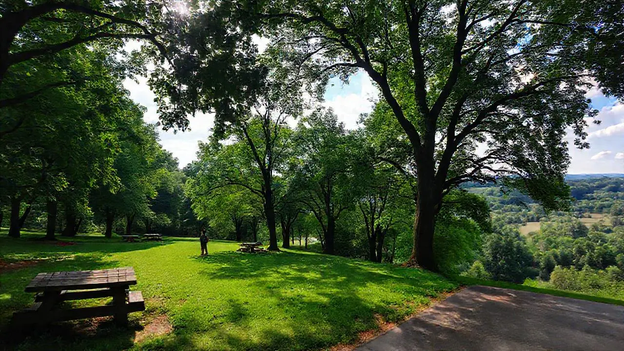 Un paisaje tranquilo, natural y sereno