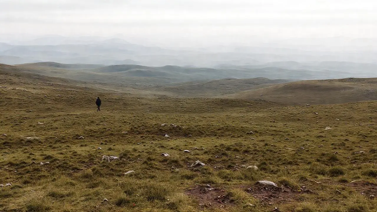 Paisaje extenso, tranquilo y natural